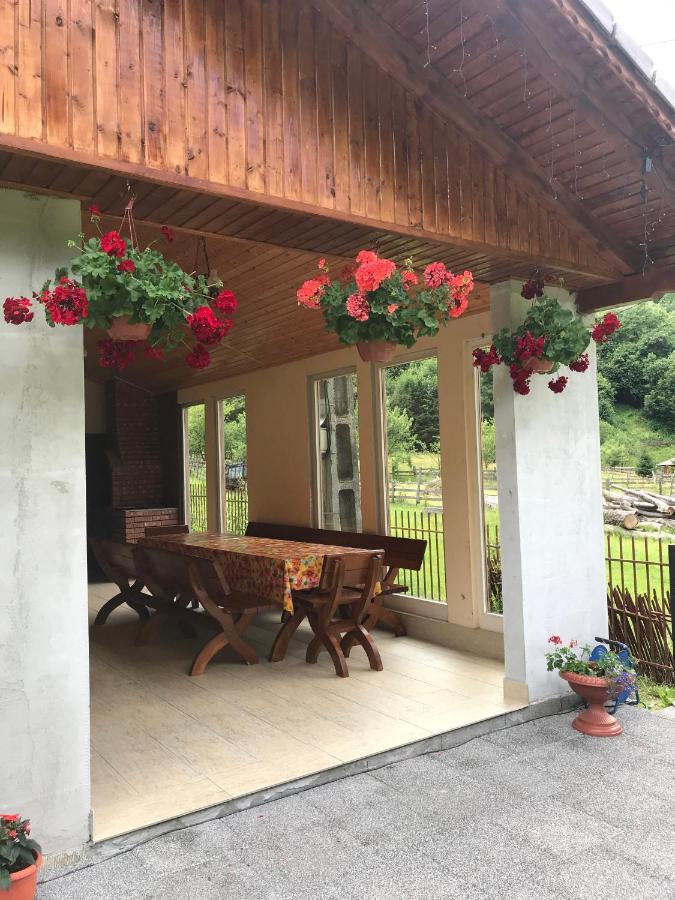 Lodge Casa De Vacanta Dana *