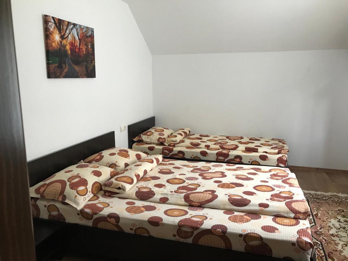 Lodge Casa De Vacanta Dana Sugag