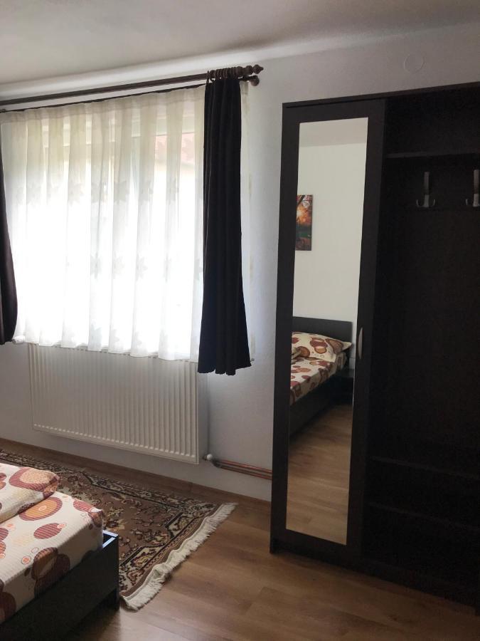 Casa De Vacanta Dana Cabană