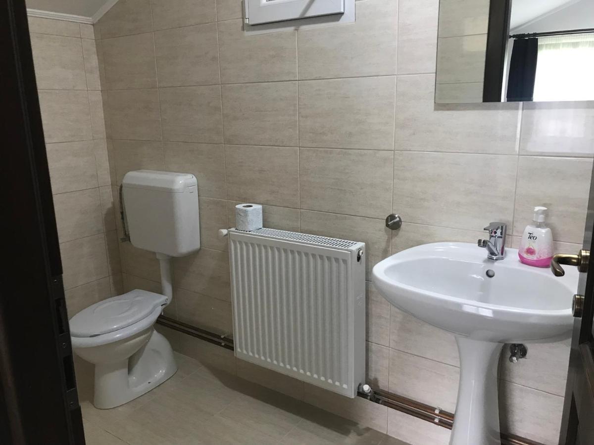 Casa De Vacanta Dana Cabană Şugag