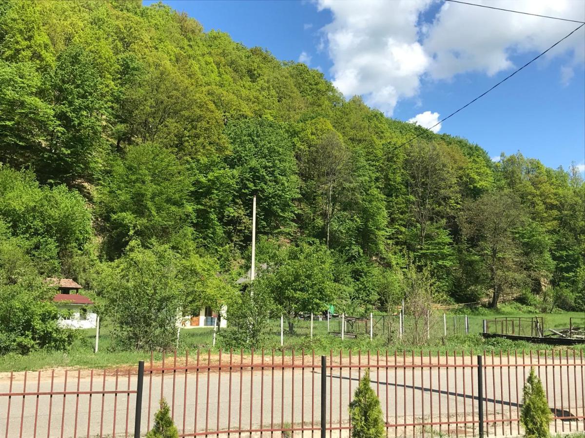 Casa De Vacanta Dana Cabană