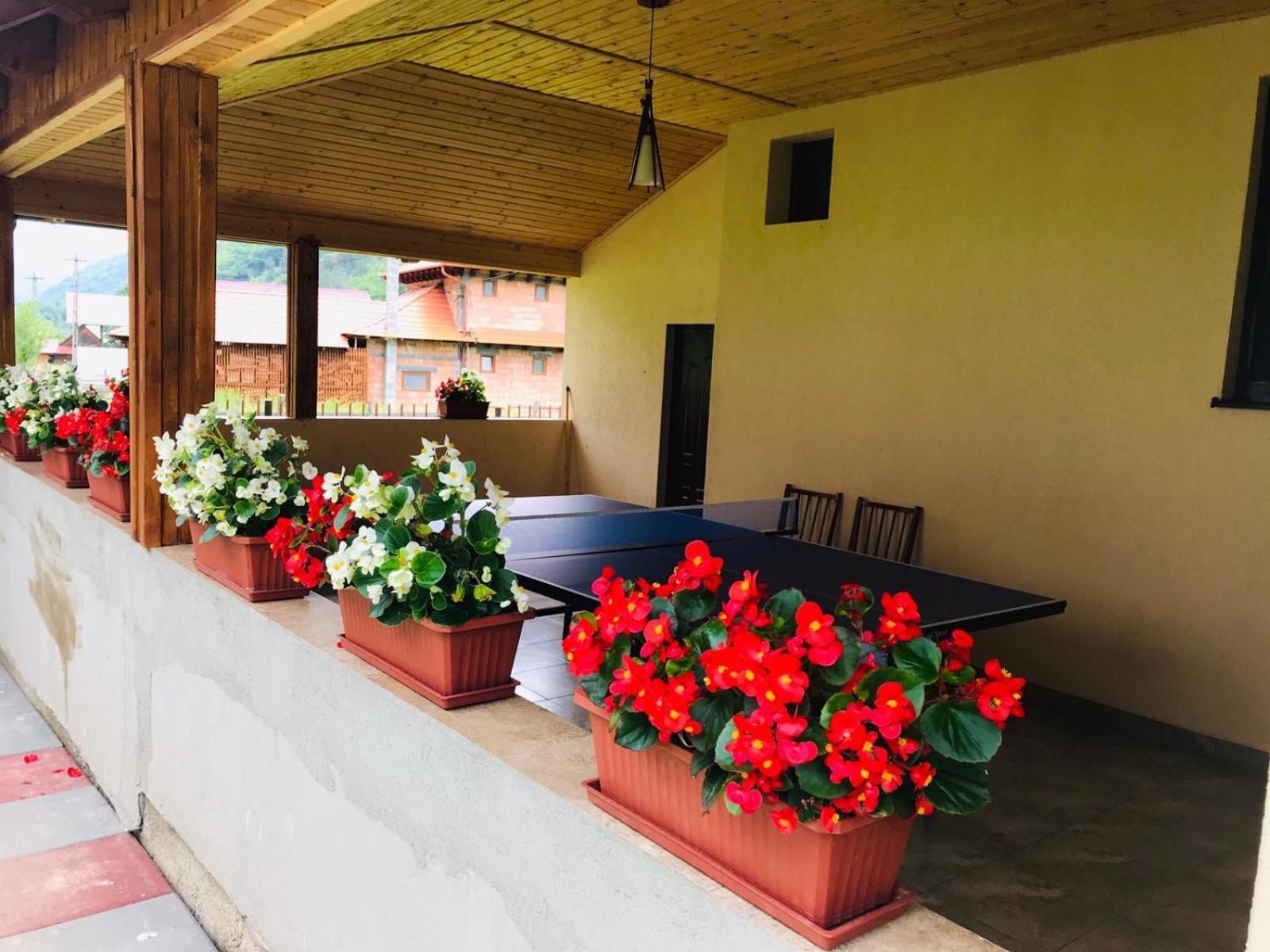 Casa De Vacanta Dana Lodge *