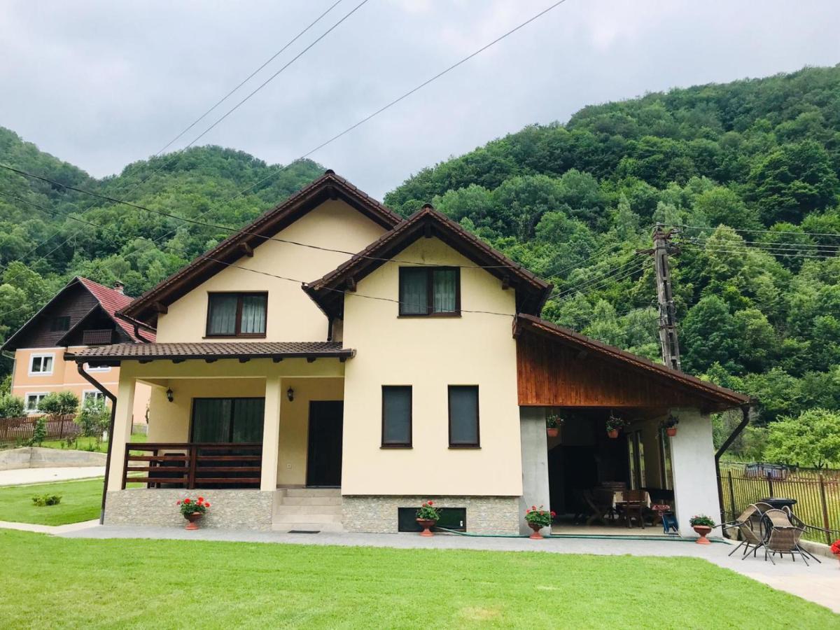 Casa De Vacanta Dana Lodge