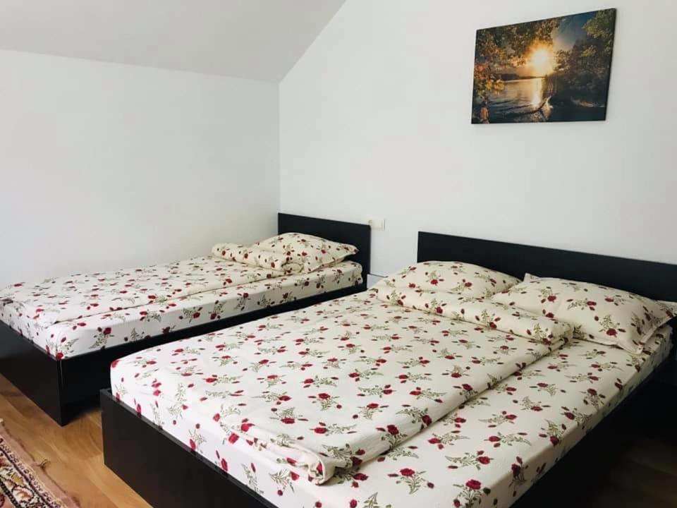 Casa De Vacanta Dana Cabană